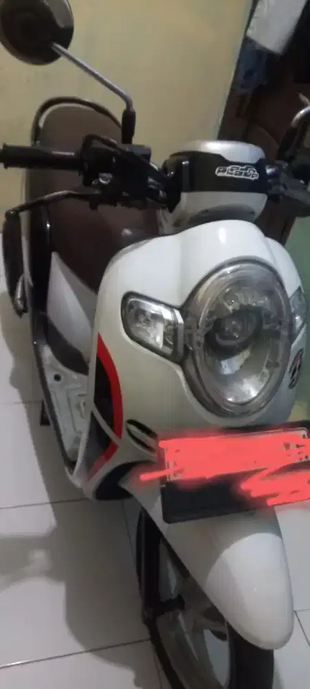 Honda Scoopy Thun 2019