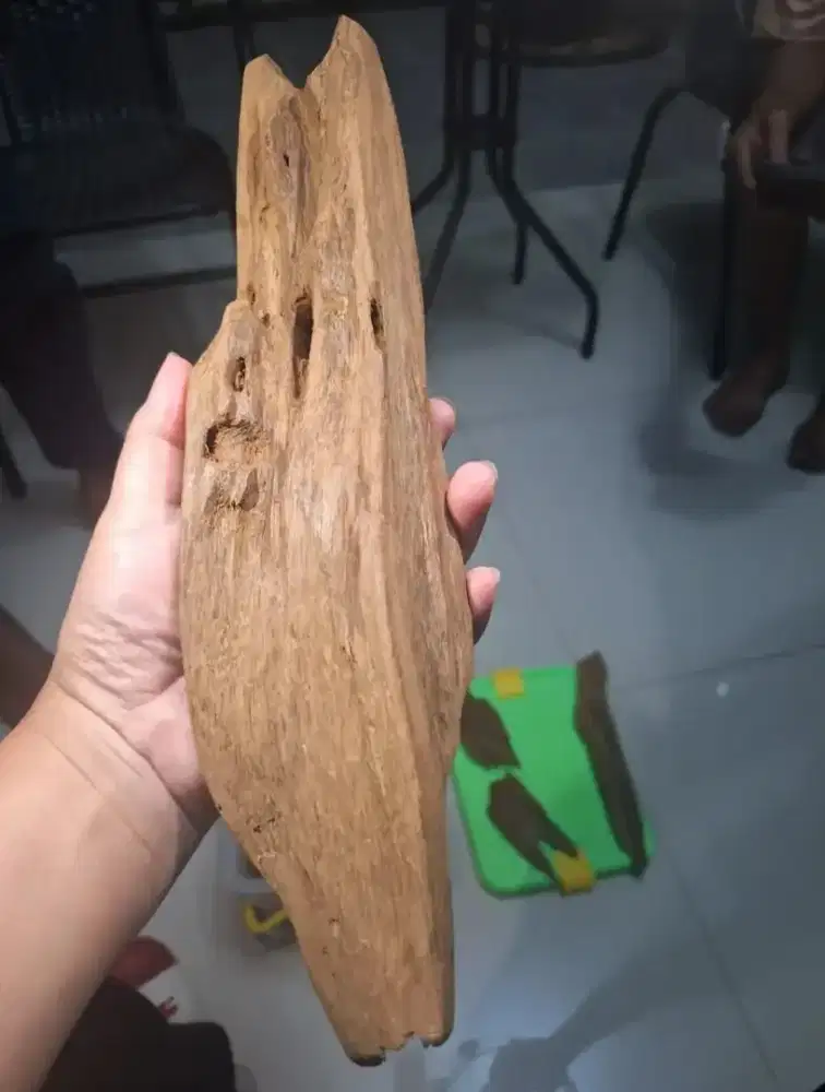 Dijual Kayu Gaharu Dari Yahukimo & Asgon Papua (Original Agarwood)