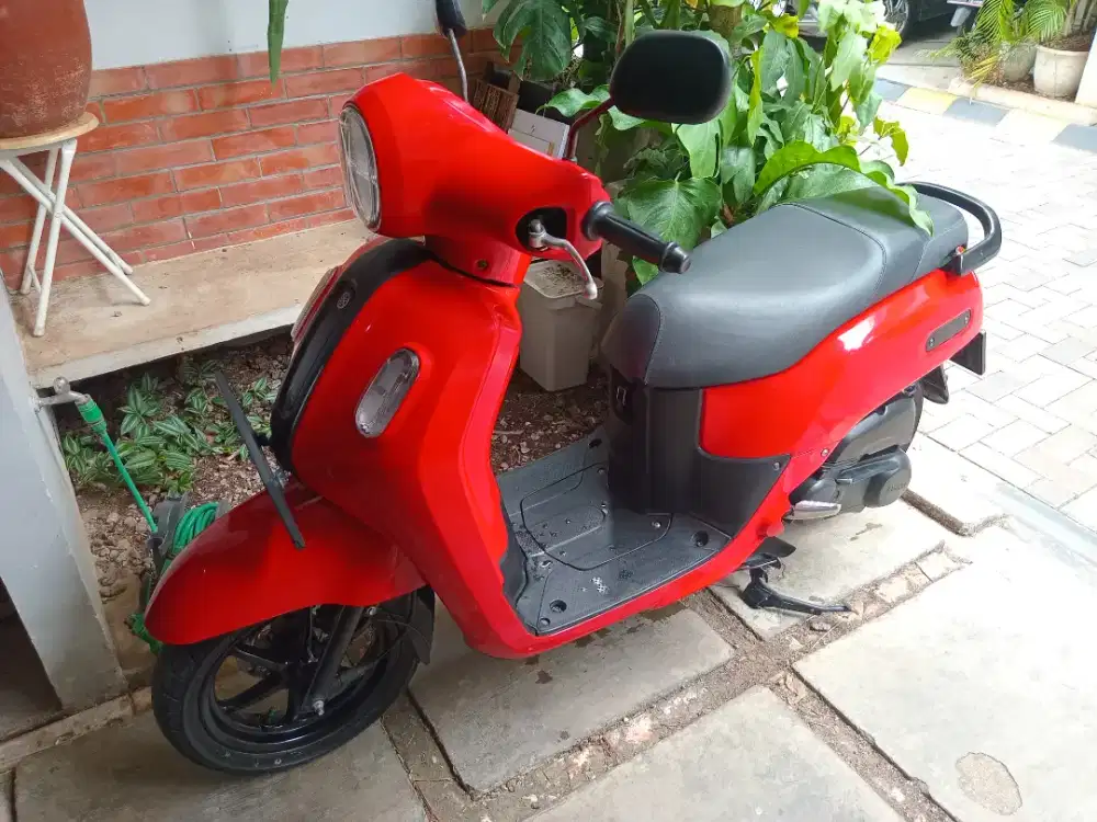 Fazzio 2021 merah menyala