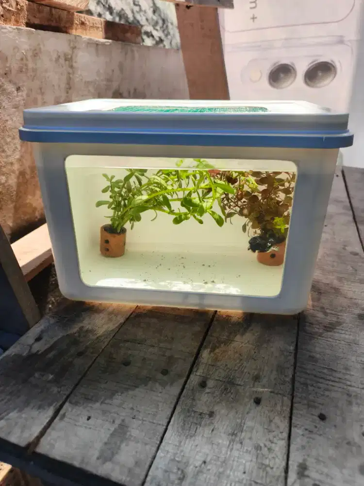 Aquarium mini 30x40cm