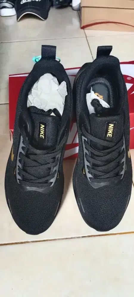 Pegasus size 43