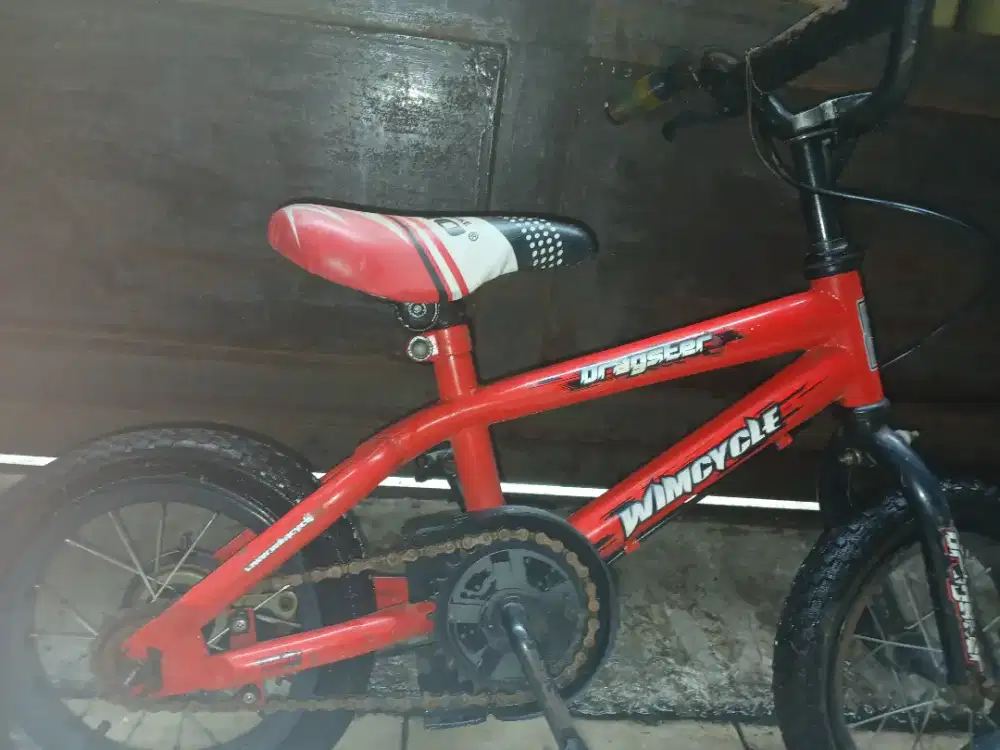 Sepeda wimcycle