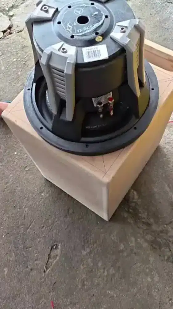 woofer double coil triple magnet