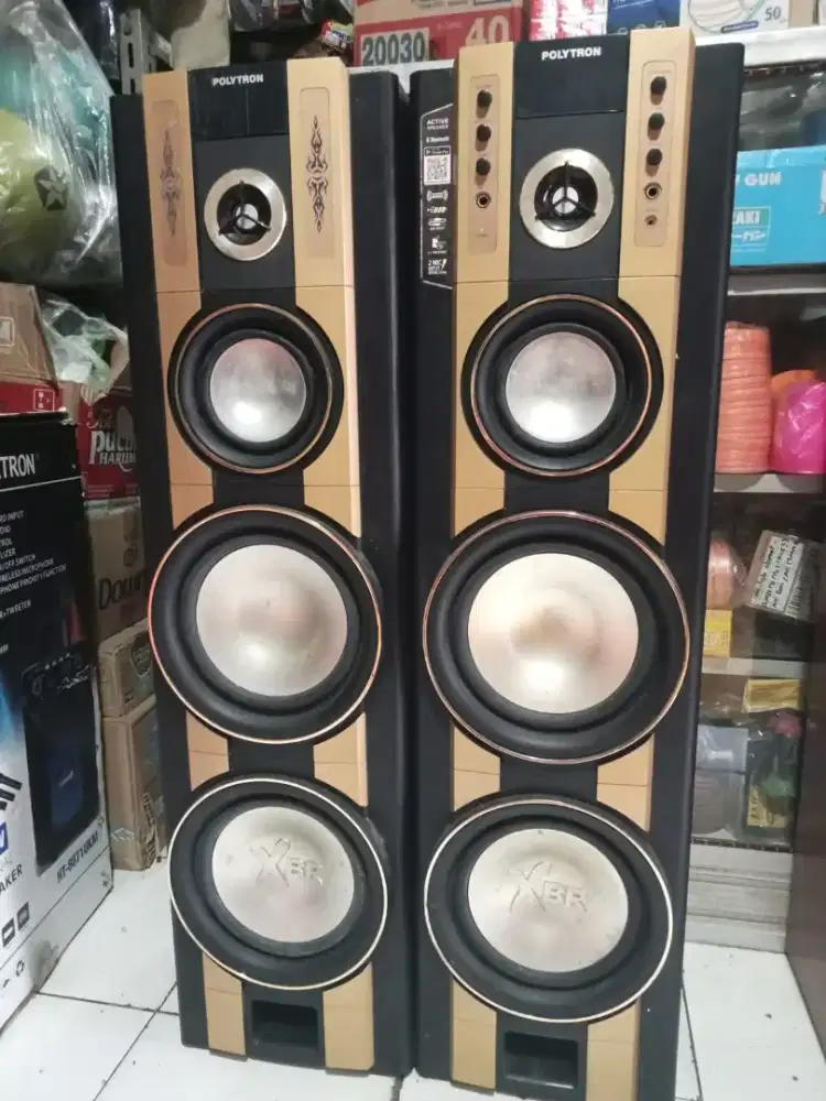 Polytron Bluetooth Salon 8 in Dobel Speaker Aktif Second Karaoke Seken