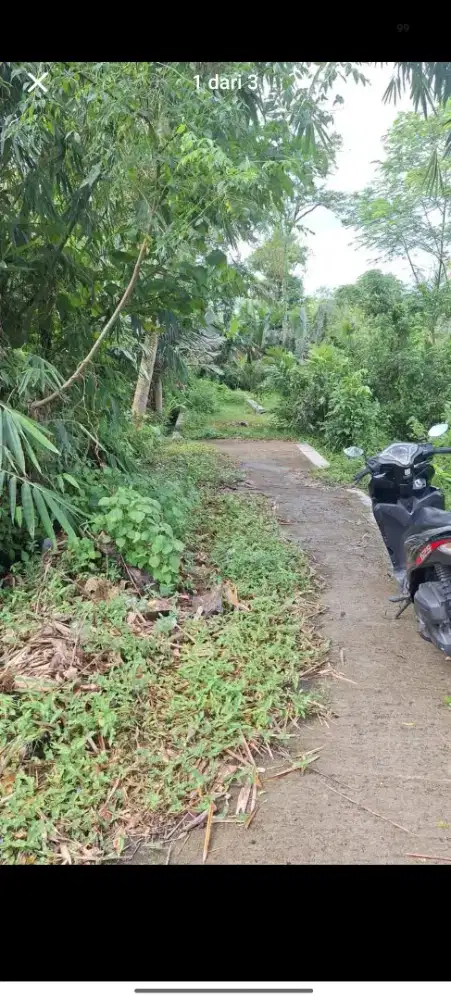Tanah pekarangan di jual