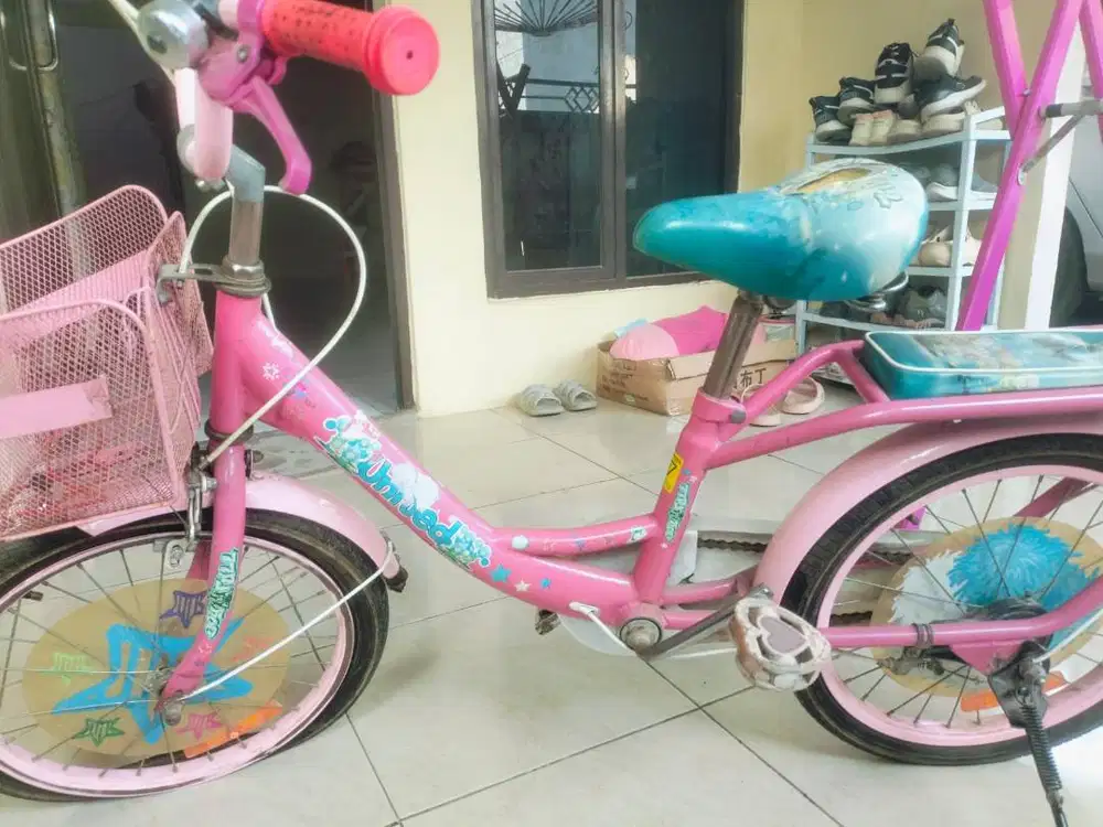Sepeda United Anak