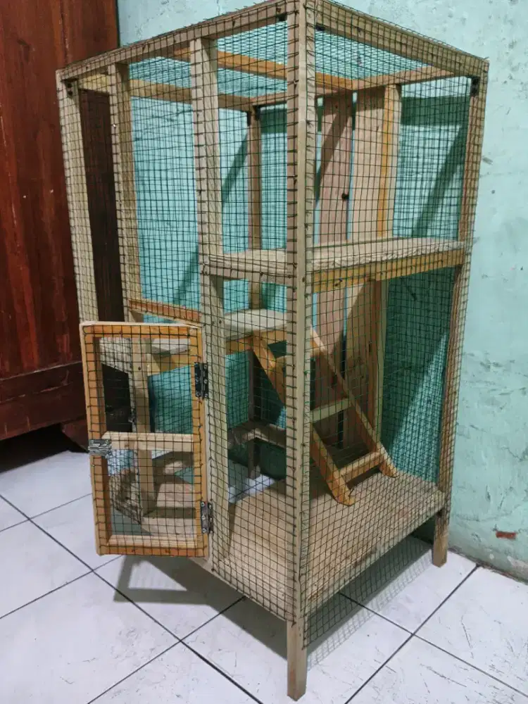 KANDANG KUCING JATI BELANDA