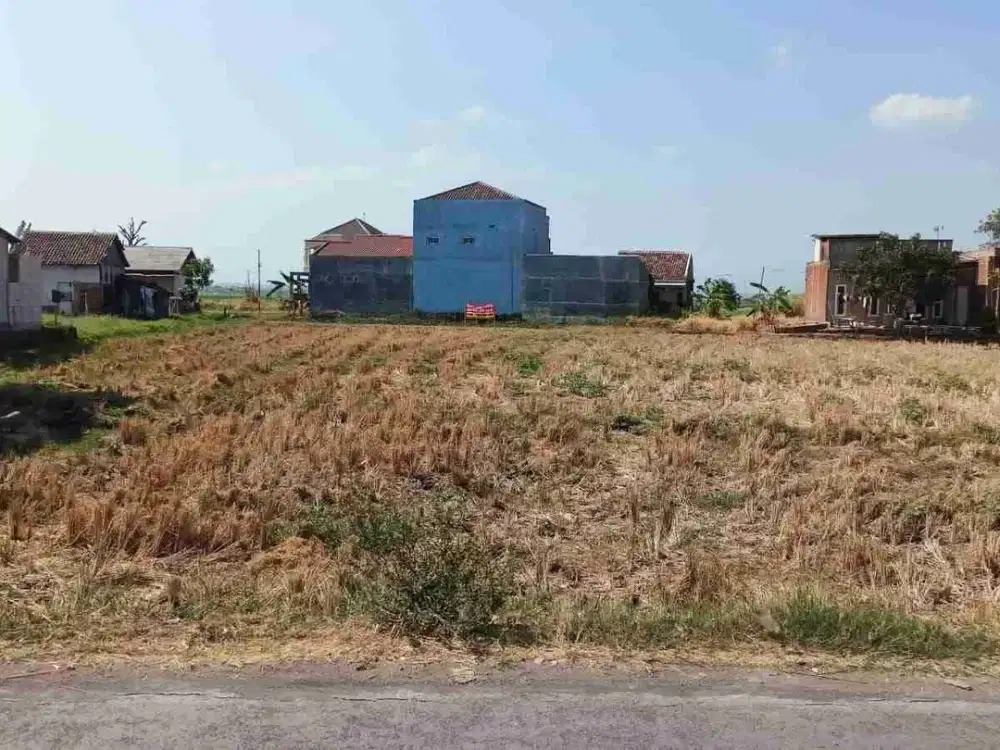 Tanah Kapling