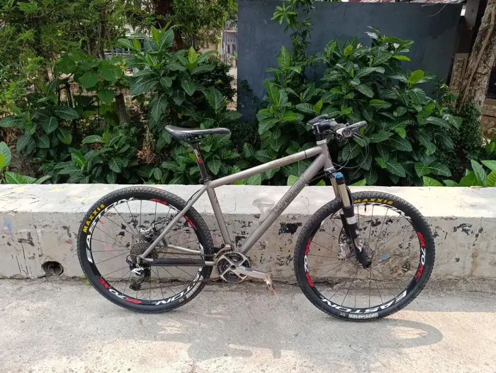 MTB lynskey titanium