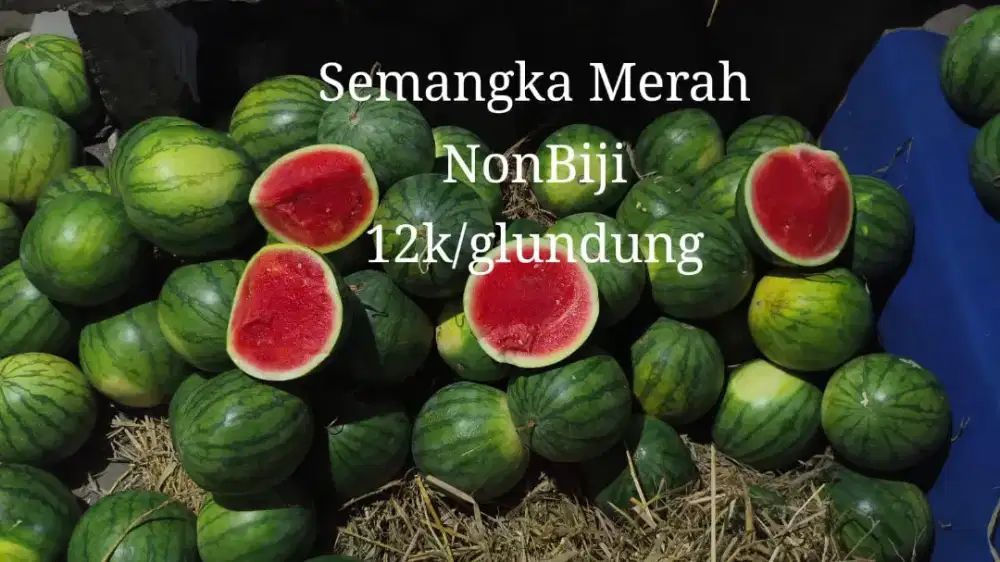 semangka non biji manis