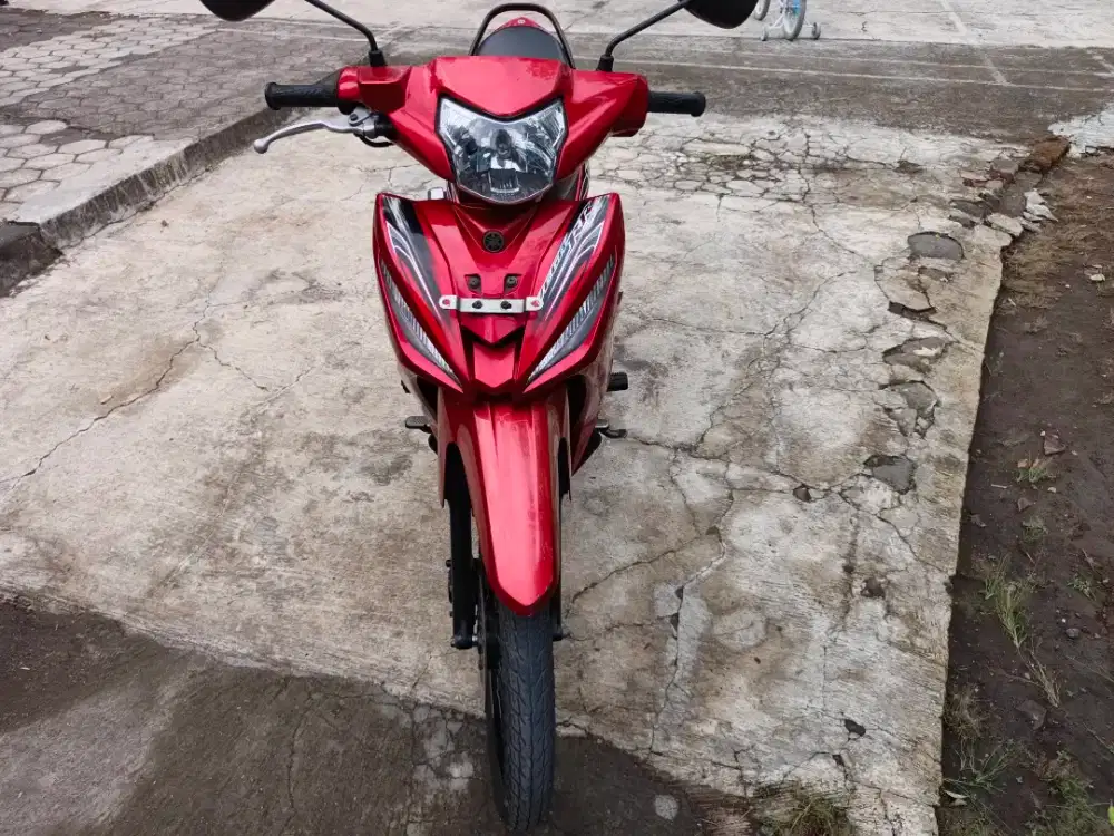VEGA RR TAHUN 2015