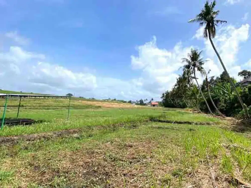 Tanah Kavling Ekslusive Harga Ekonomis di Pantai Yeh Gangga Sudimara, Tabanan