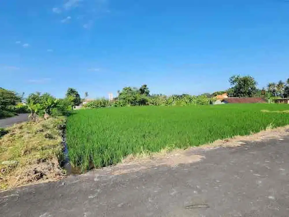 Dijual tanah kavling di Pering, Blahbatuh, Gianyar.