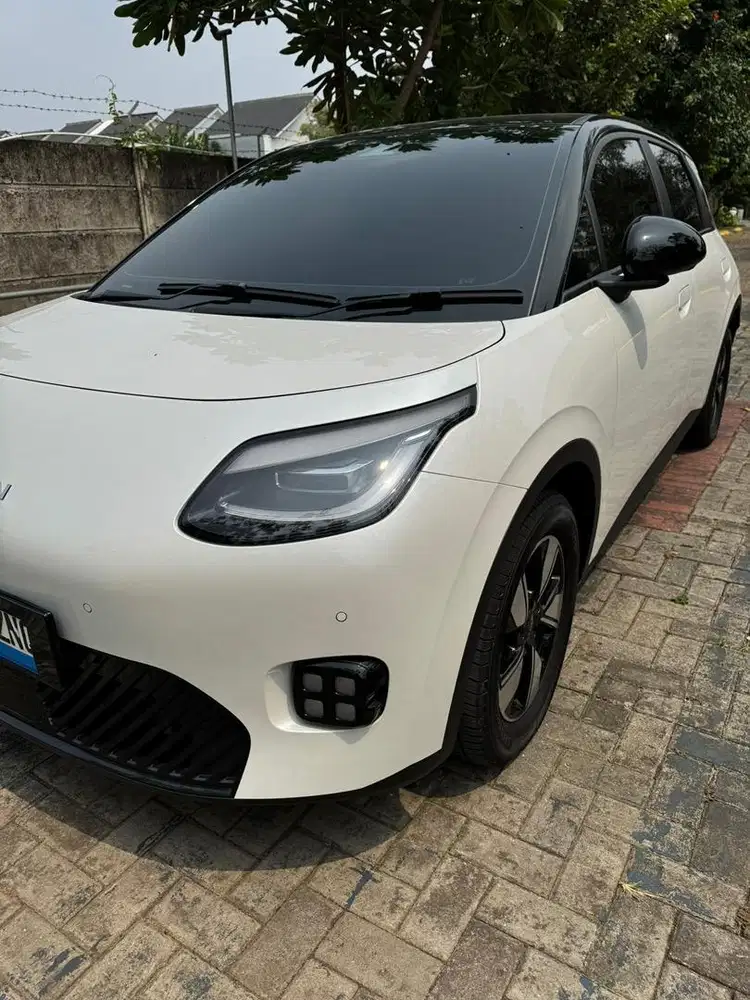 GAC AION UT STANDARD RANGE (400 KM)