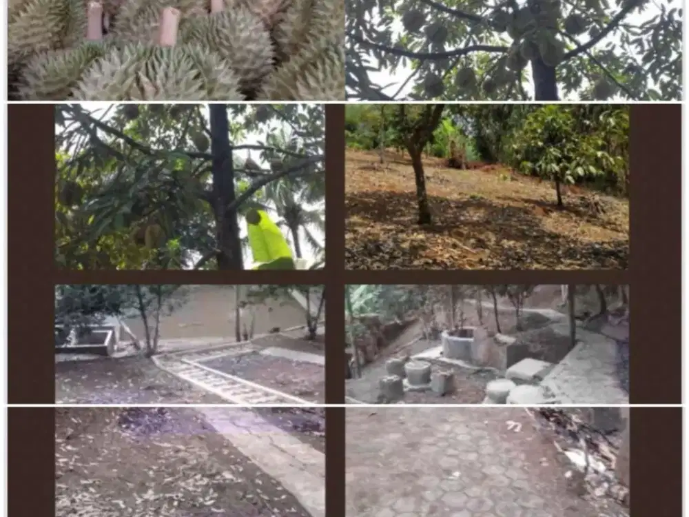 Dijual cepat tanah kebuh buah Cianjur