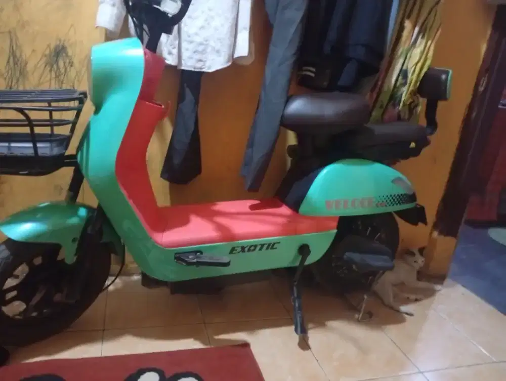 Sepedah listrik exotic