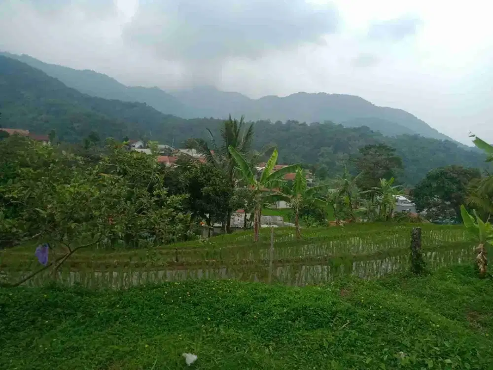 lokasi Sejuk buat villa Di pamijahan bogor barat
