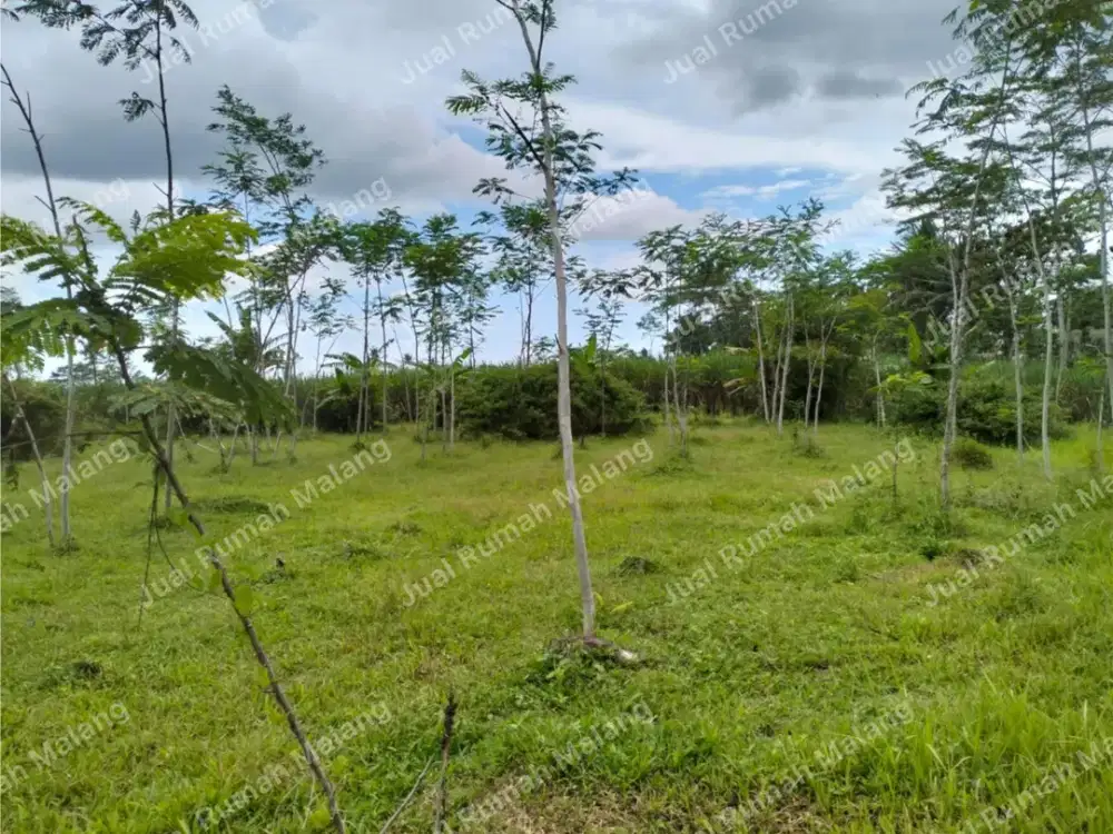 Dijual Cepat Tanah Bagus Buat Kebun, Cluster Perumahan Pakisaji Malang