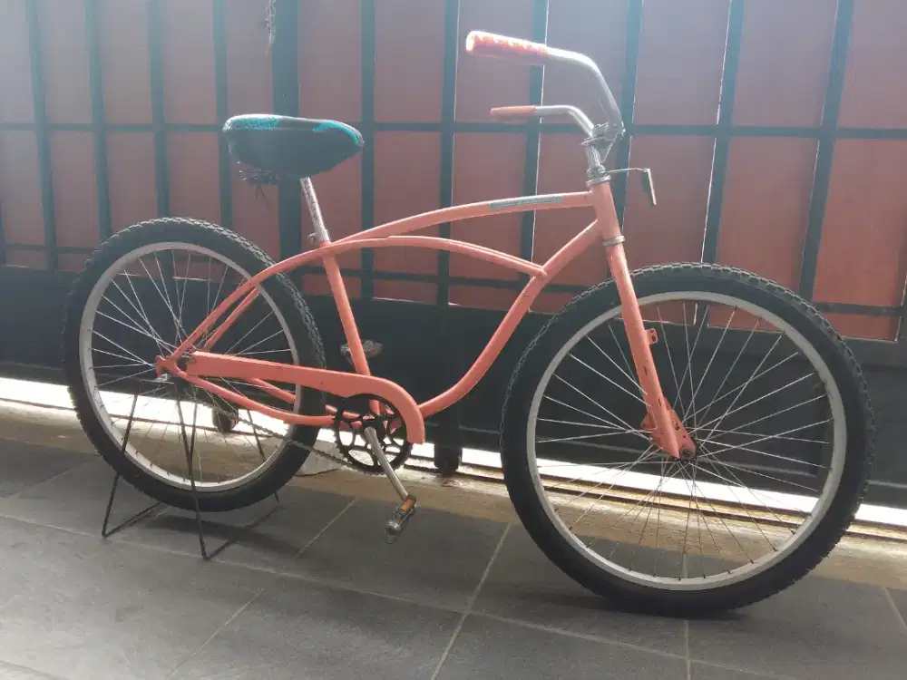 Giant cruiser 26