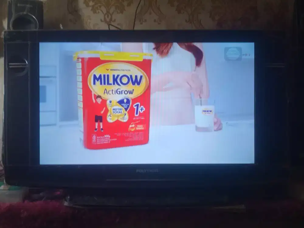 Tv digital Polytron