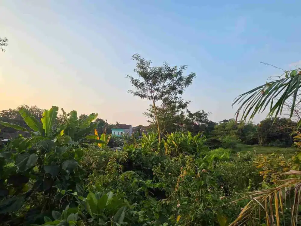 Tanah Lokasi Strategis Dekat Pasar Tahunan di Soekarno Hatta Tahunan Jepara
