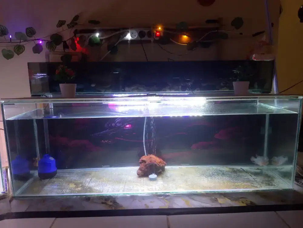 Aquarium + Filter Kaca