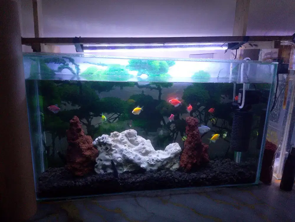 Aquarium 70x20x40