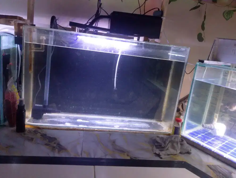 Aquarium 70x20x45