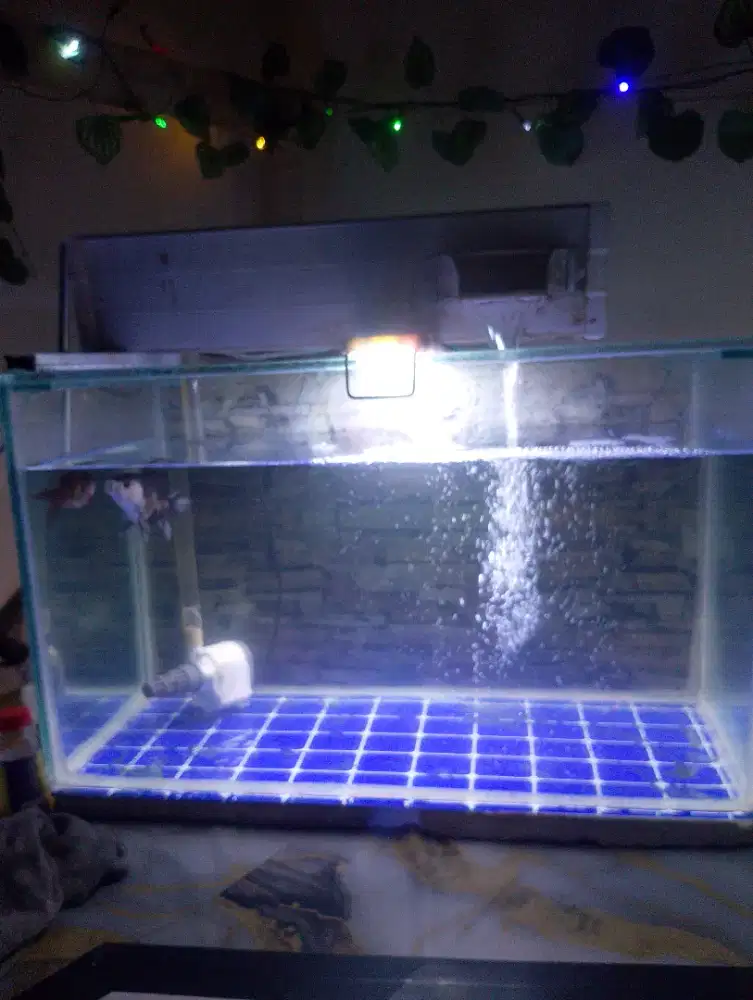 Aquarium 60x30x40