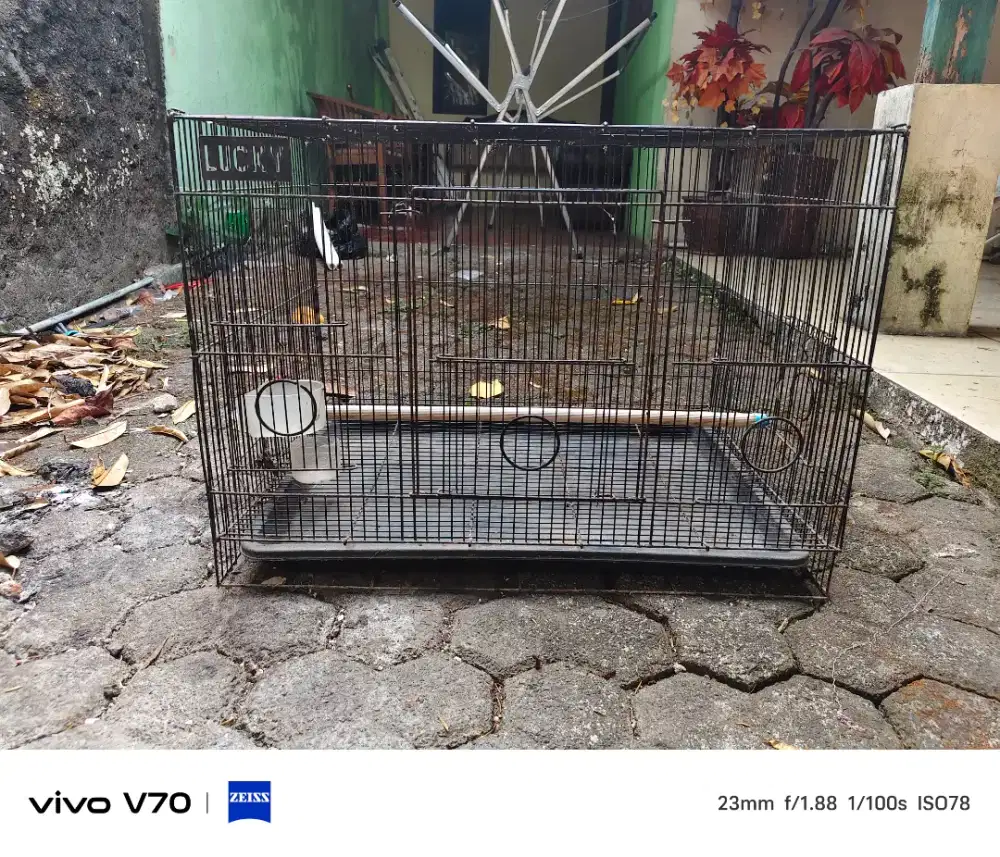 Kandang Kucing Anjing Burung Besi Besar Kuat Kokoh