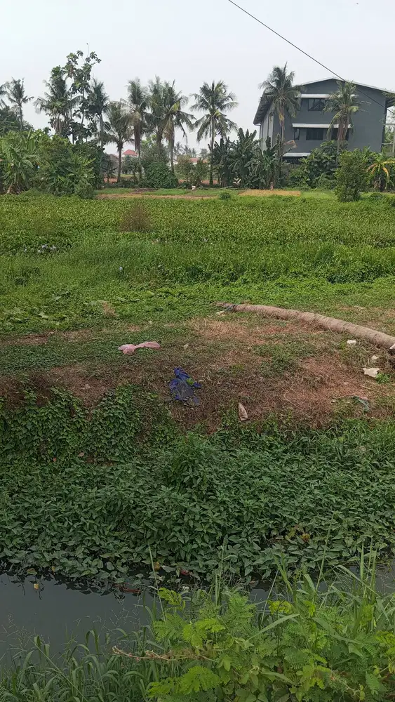Disewakan borongan lahan disposal puing & tanah galian Tangerang