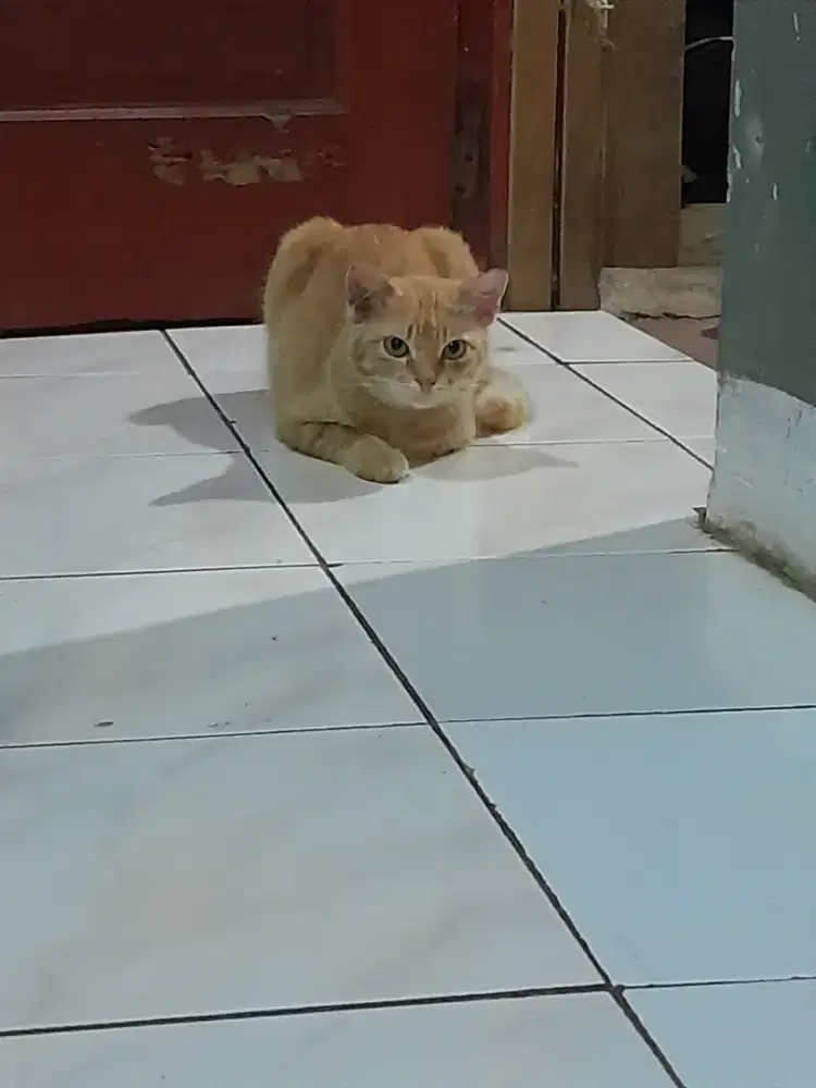 Cari kerja gaji  harian serabutan