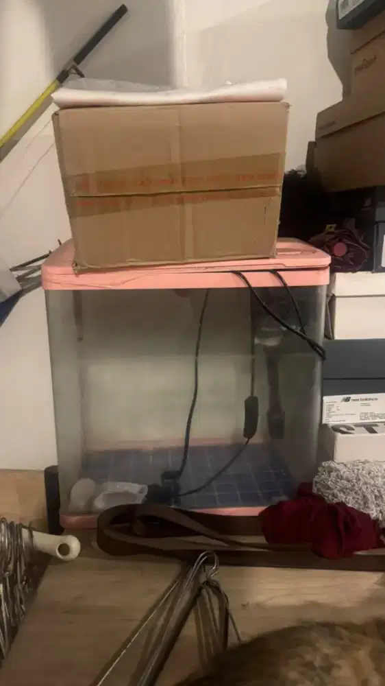 Aquarium viral tiktok