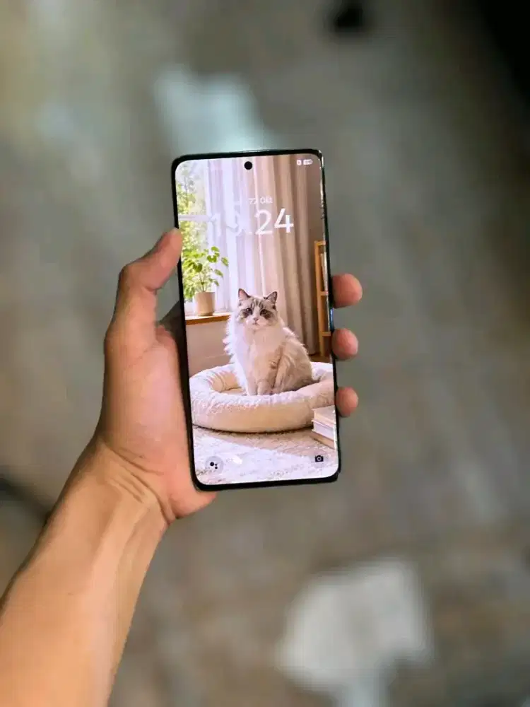 Oppo Reno 10 5G , Ram 8/256