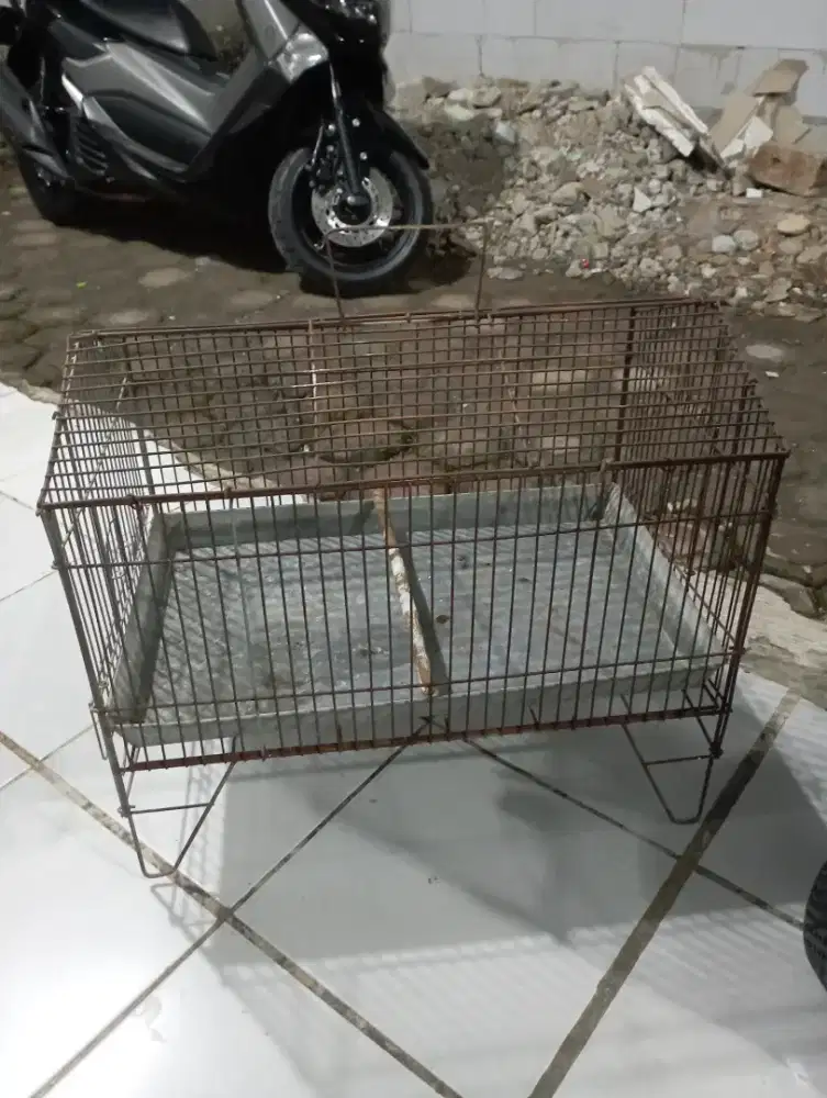 Kandang keramba mandi burung murai kacer dll