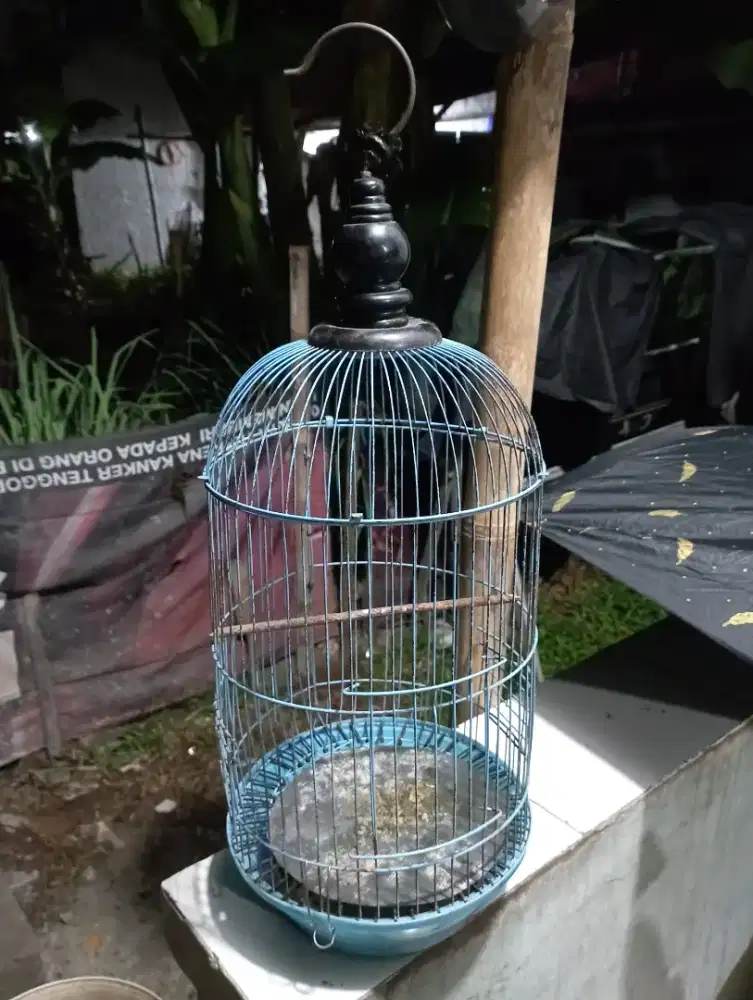 Kandang burung burcil prenjak dll