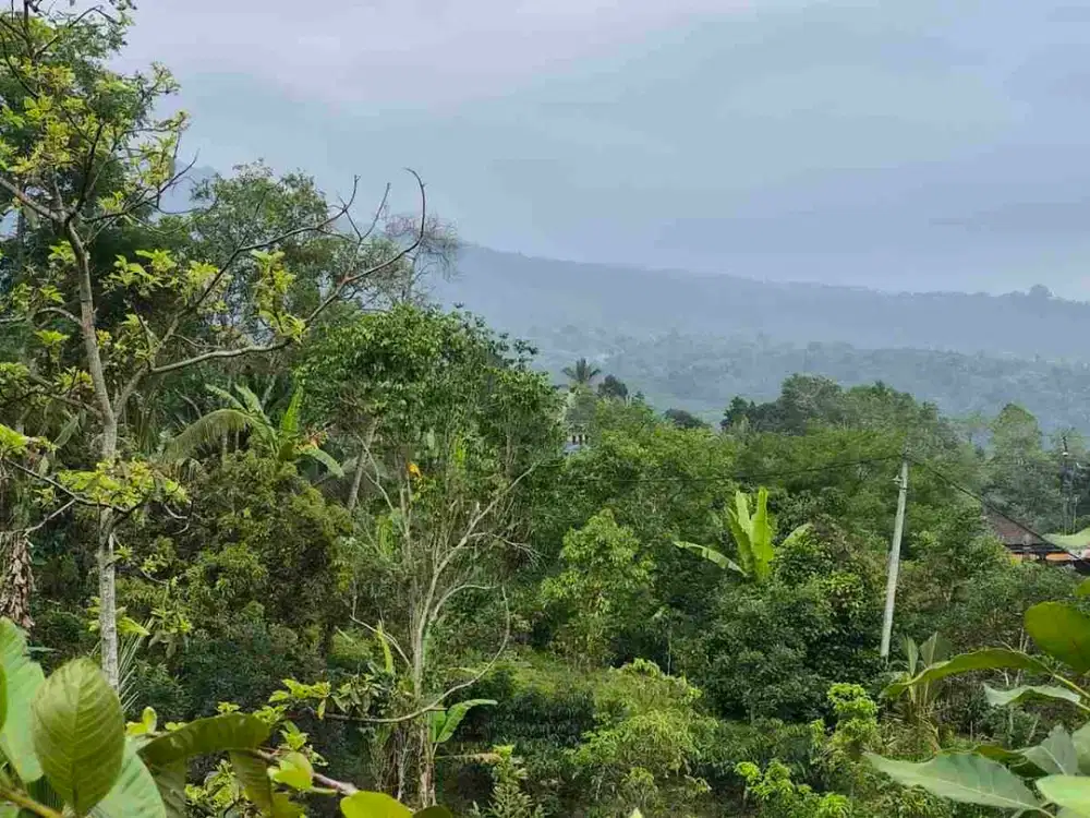 Dijual Tanah Area  Wisata Jatiluwih Tabanan Bali