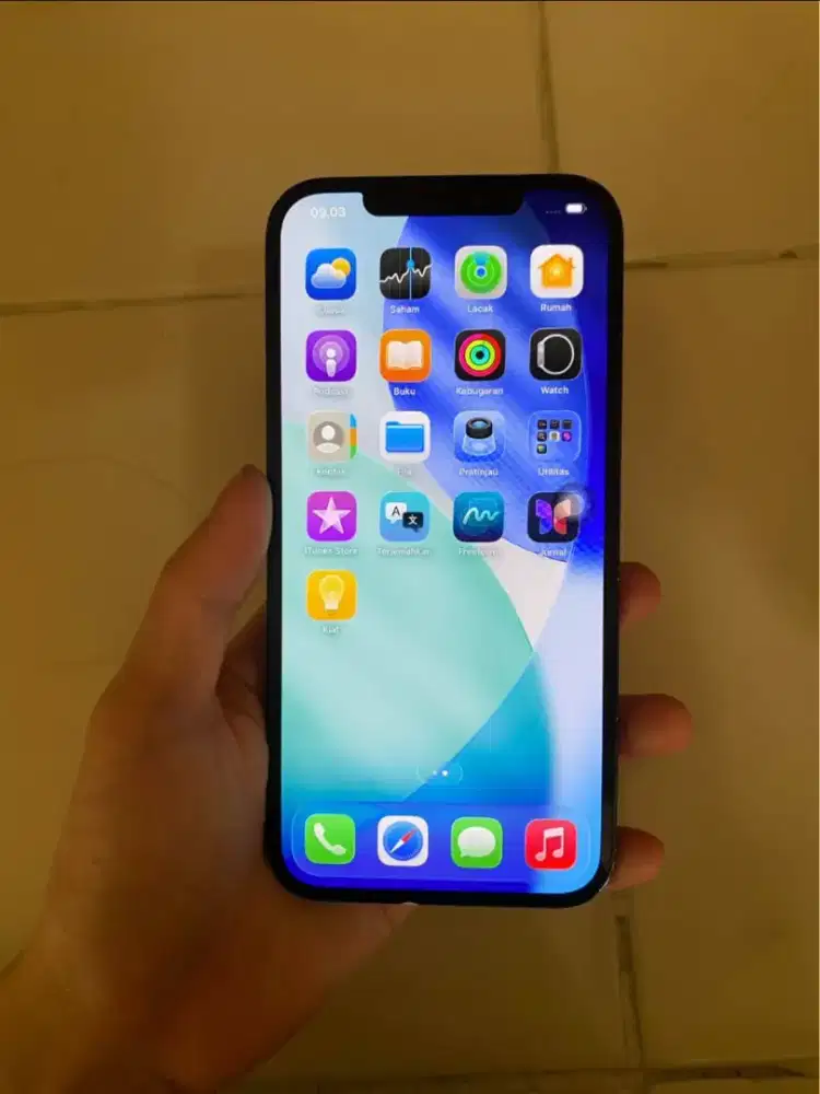 iphone 12 pro max 256 gb