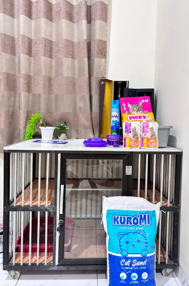 Kandang kucing dan makanan kucing