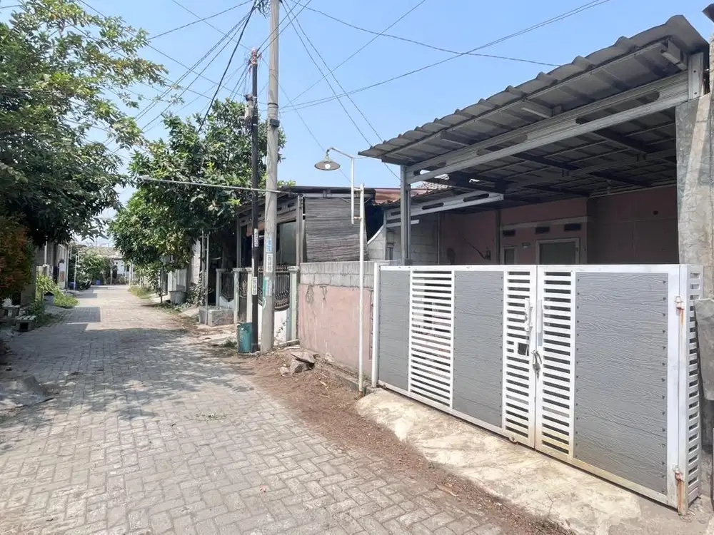 Citra swarna grande (subsidi)