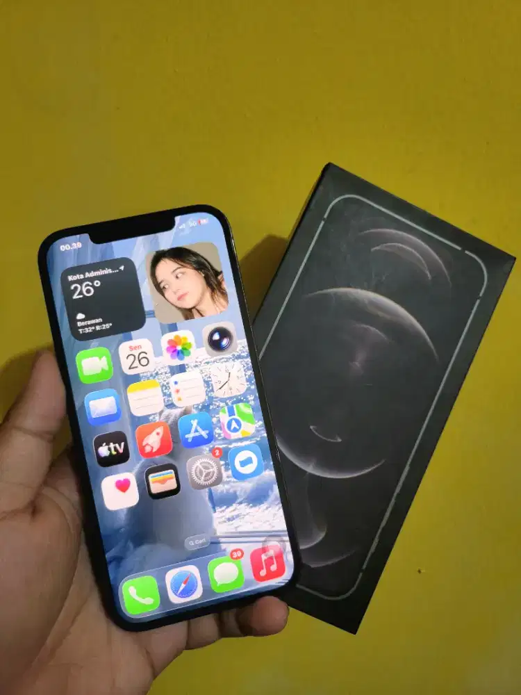 iPhone 12 Pro Max 128gb inter