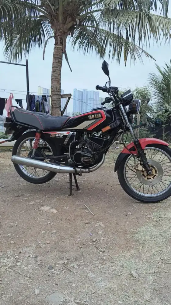 Rx king cobra bibir merah