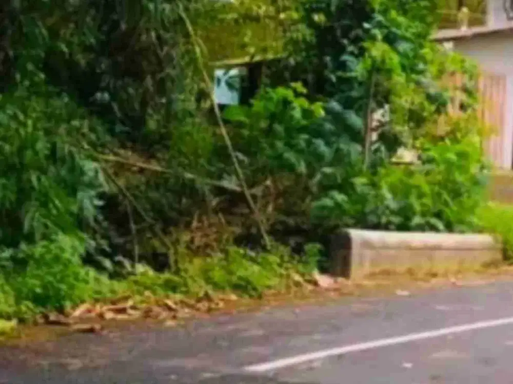 Tanah Murah tepi jl lingkar waduk sermo
