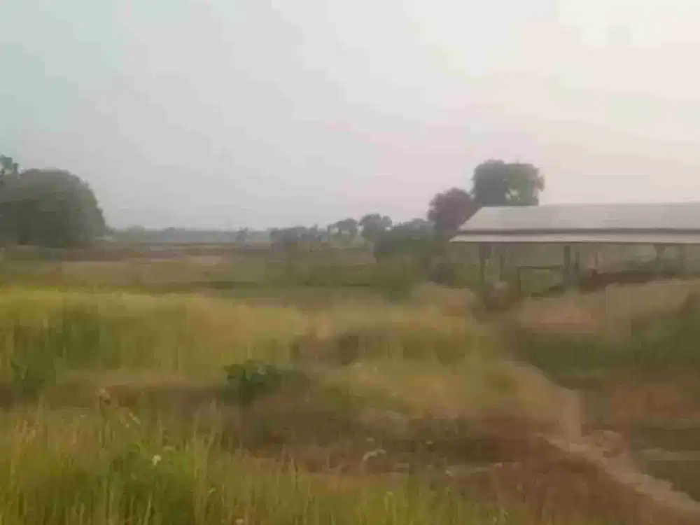 JUAL TANAH DI KARAWANG TIMUR 3ha