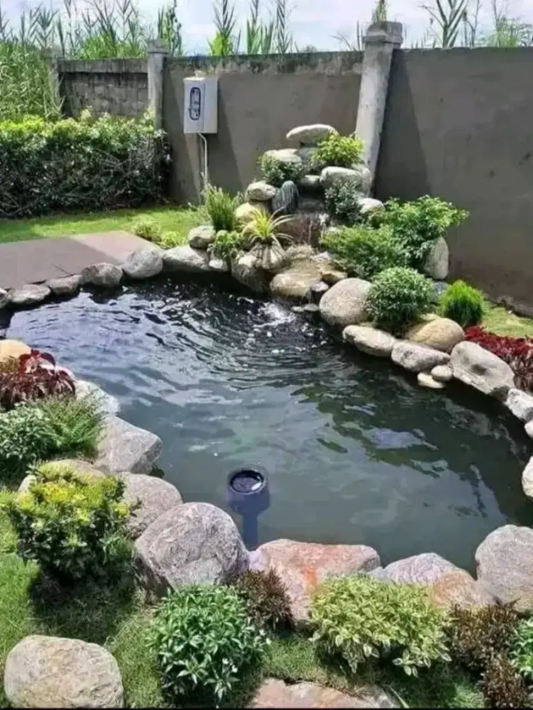 Spesialis Taman dan kolam koi