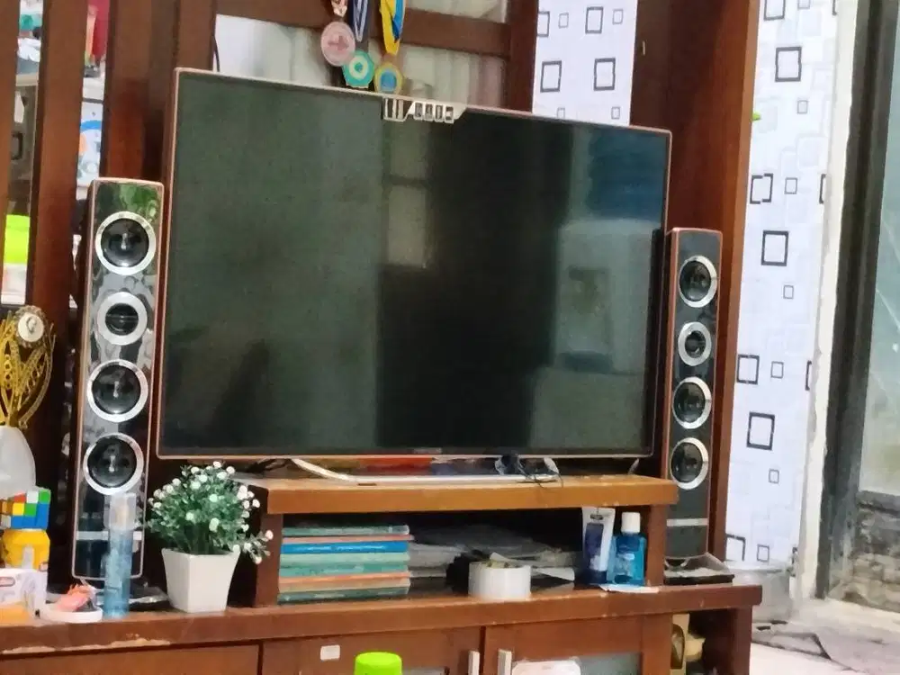 TV DIGITAL POLYTRON 43 INC