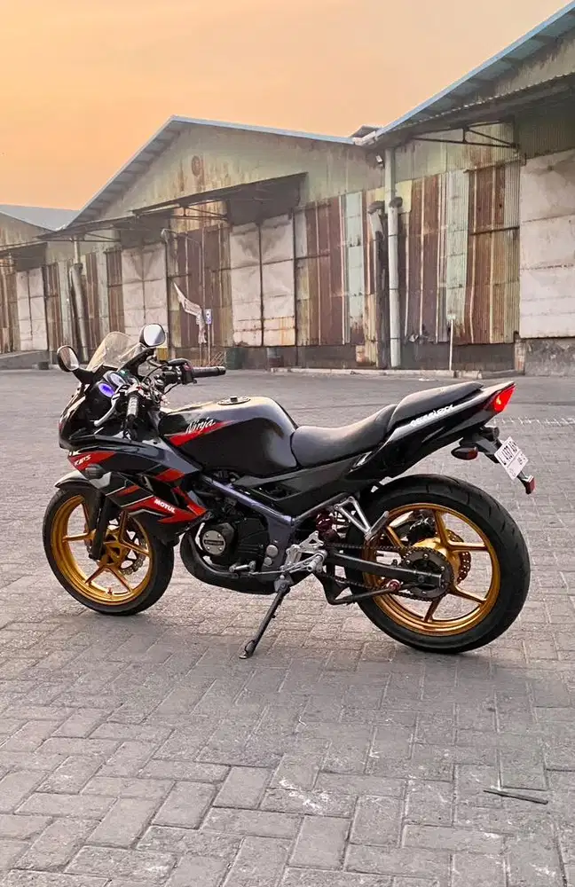 Ninja RR New 2012