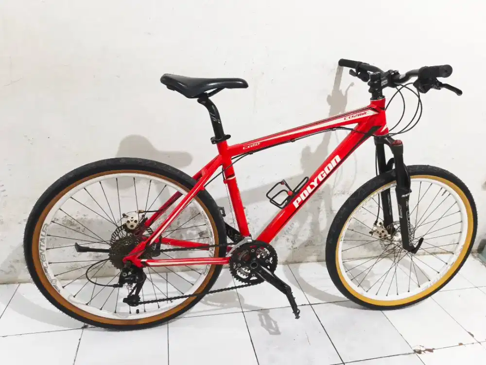 polygon cosmic cx2.0