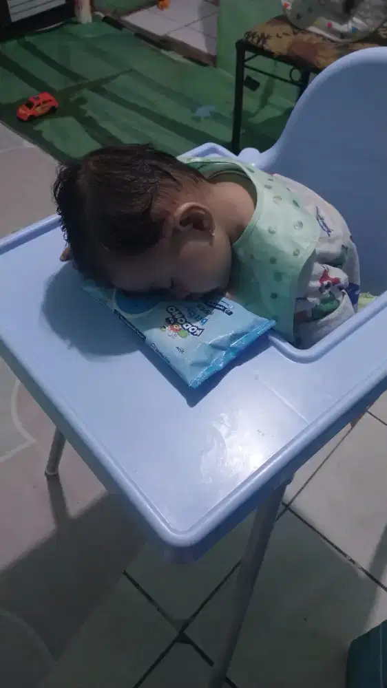 JUAL KURSI MAKAN BAYI