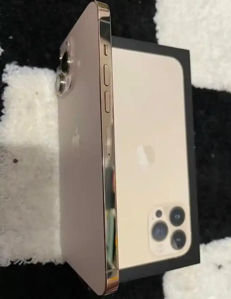 Iphone 13 ProMax 512 MULUS